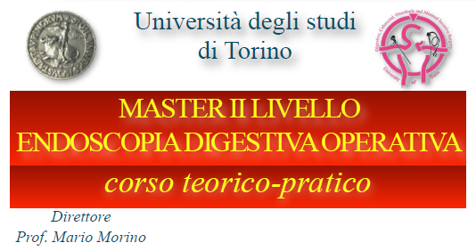 master-endoscopia-torino