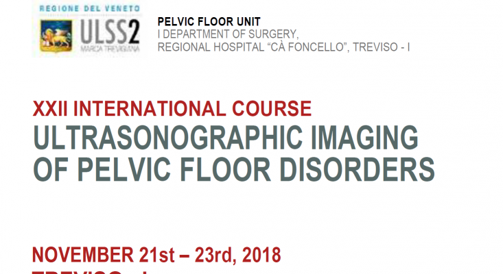 XXII International Course Ultrasonographic Imaging of Pelvic Floor Disorders