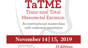 TaTME Trans-anal Total Mesorectal Excision 2019