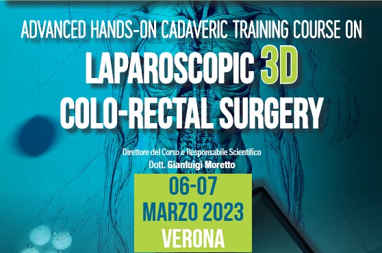 Advanced hands-on cadaveric training course on laparoscopic 3d colo