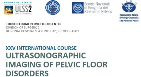 XXV International Course Ultrasonographic Imaging of Pelvic Floor Disorders